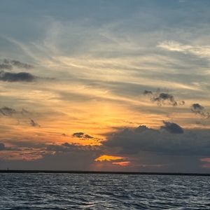 Meet your Posher, June